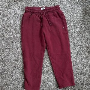 ZYIA Claret Maroon Capri Relaxation Joggers